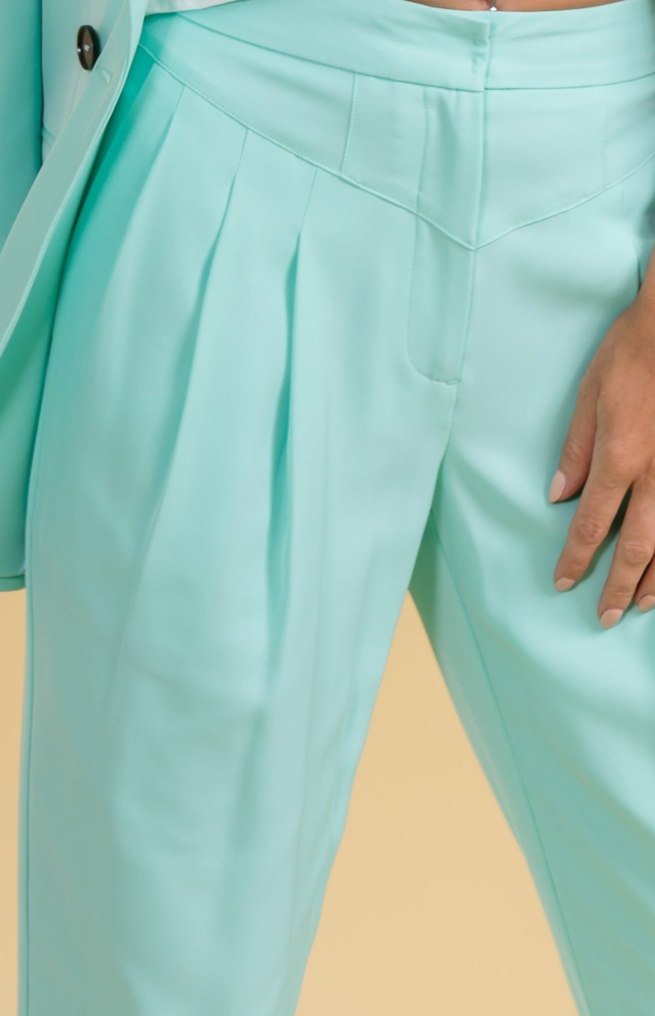 Classy Pleat Trousers