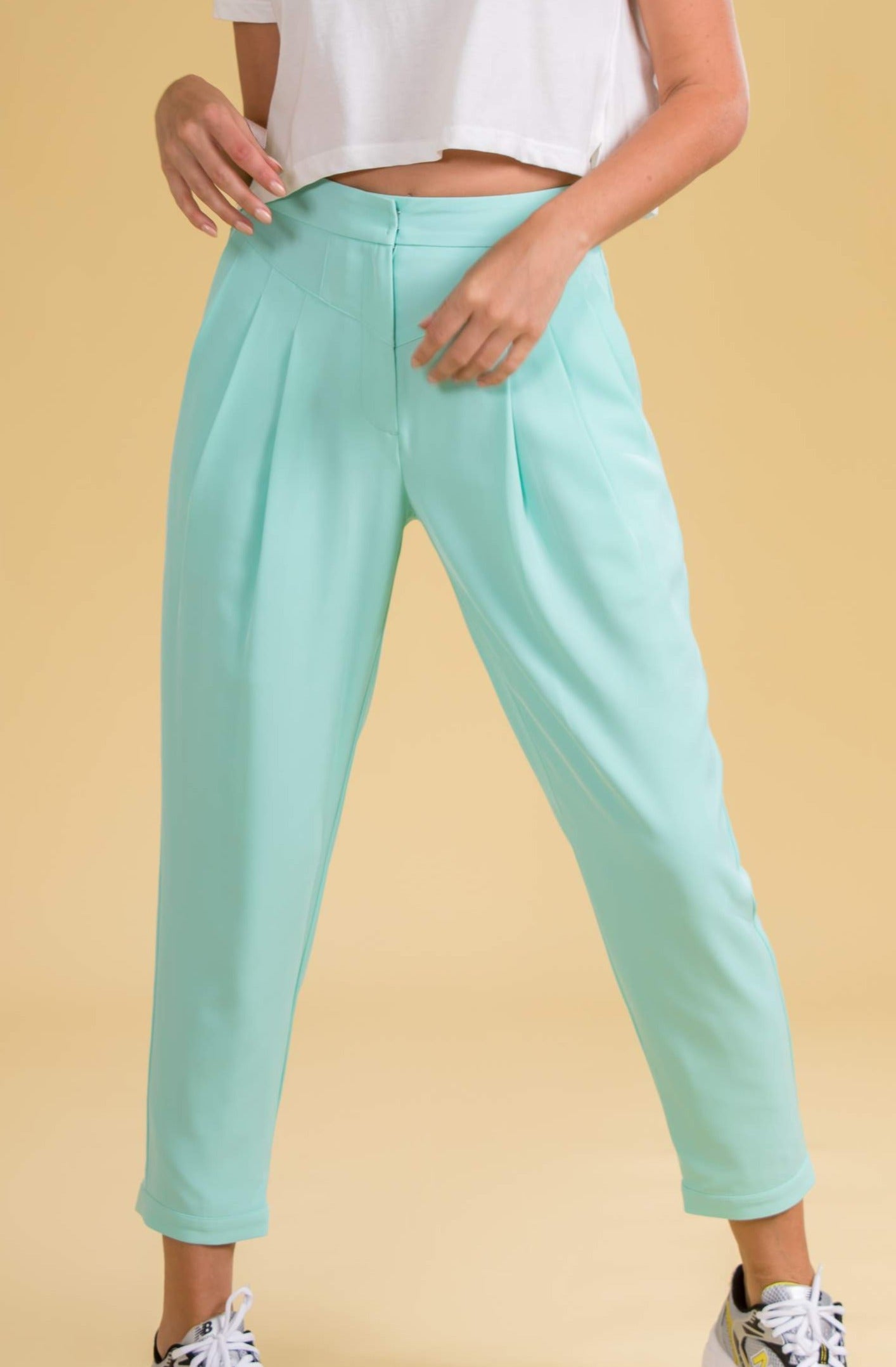 Classy Pleat Trousers